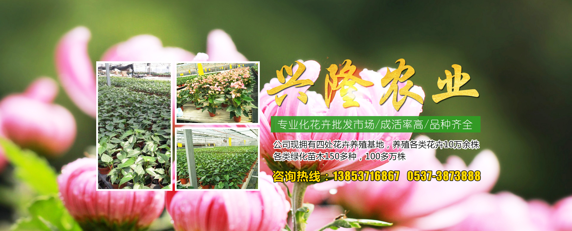 山东卡尔普工程机械有限公司